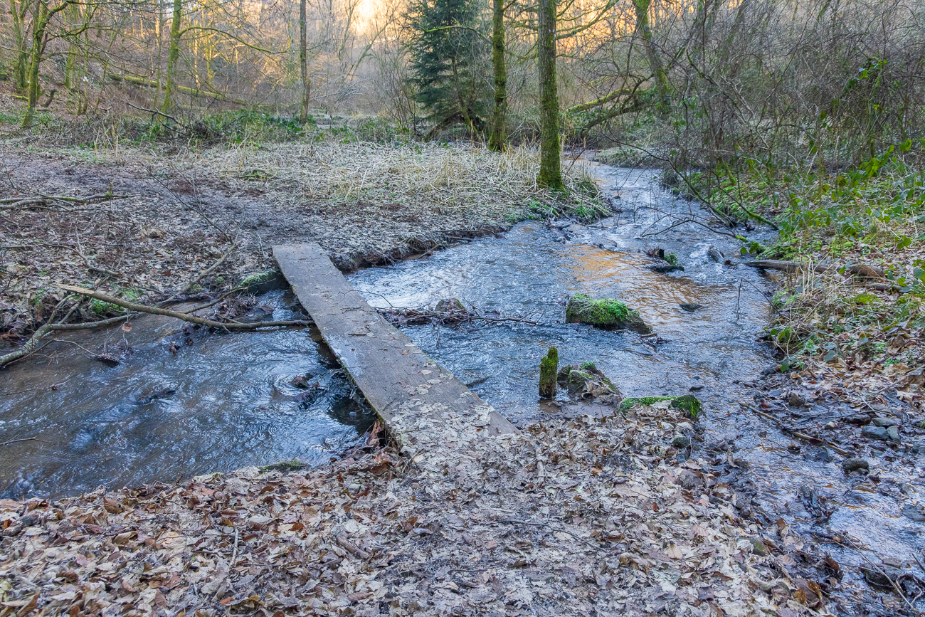 Ob mich das Brett aushält? ;-)