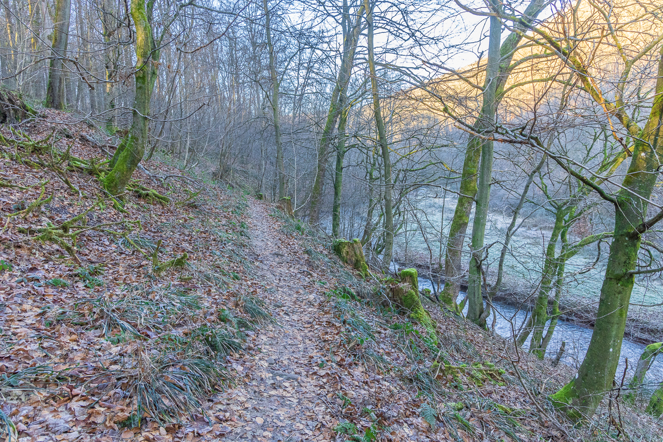 Auf der Schönbach Steige, lt. Landkarte ist es aber der Lautenbach