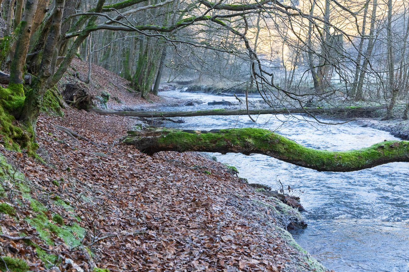 Bei den Temperaturen bin ich lieber geklettert ;-)