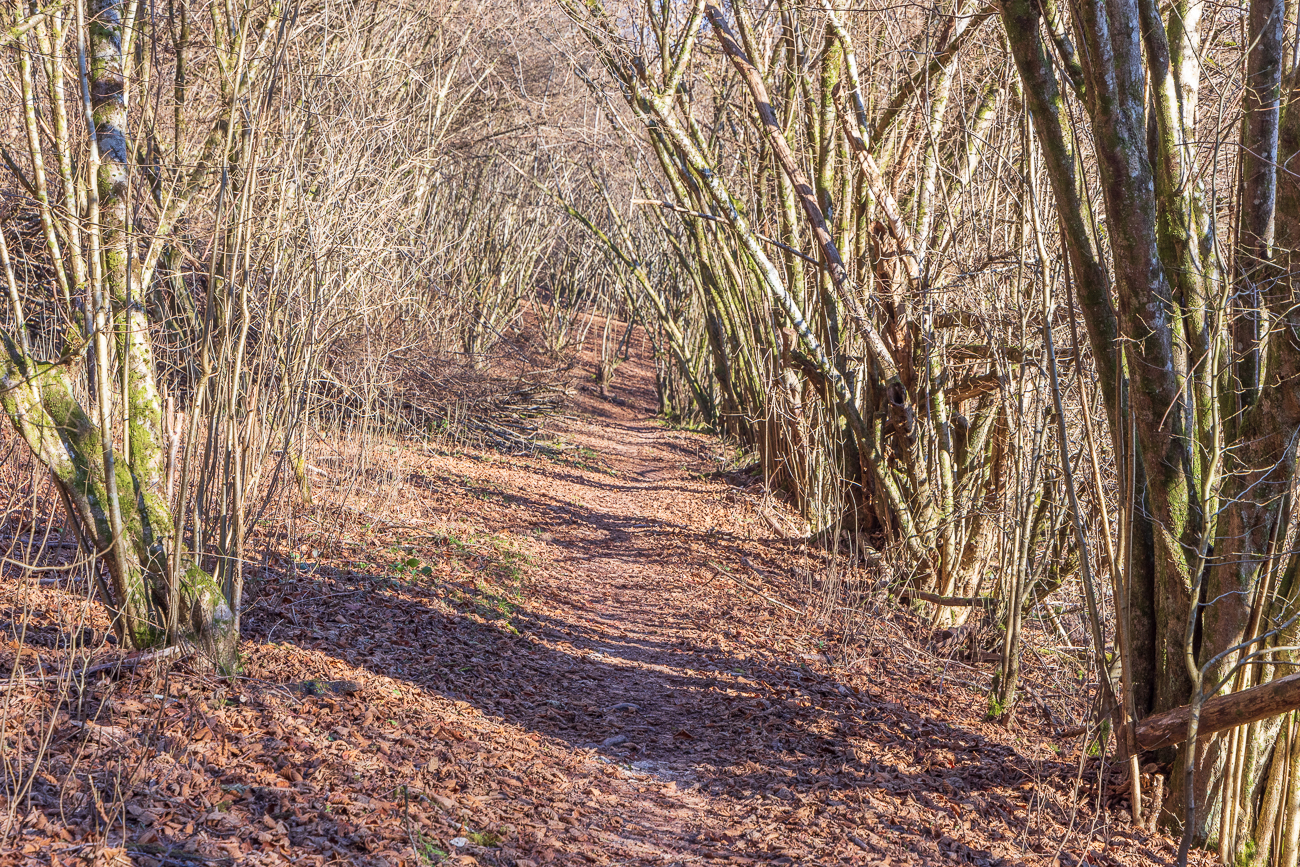Die Sonne wärmt ...