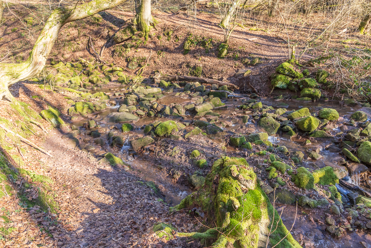 Schon wieder eine Stelle, um sich nasse Füße zu holen, falls man von den Steinen rutscht