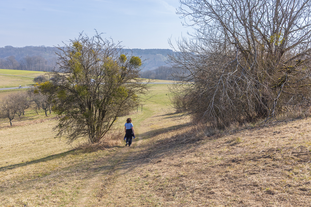 Hier in der Gegend ...