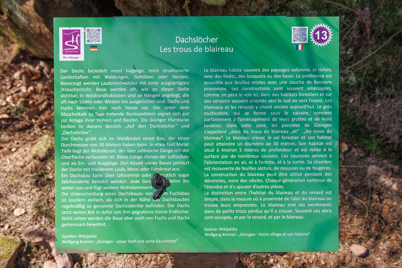 ... Infos zu den Dachslöchern