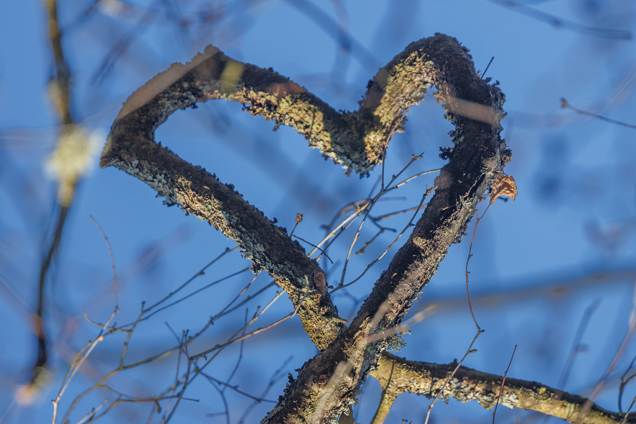 ... im Herzen der Natur ;-)