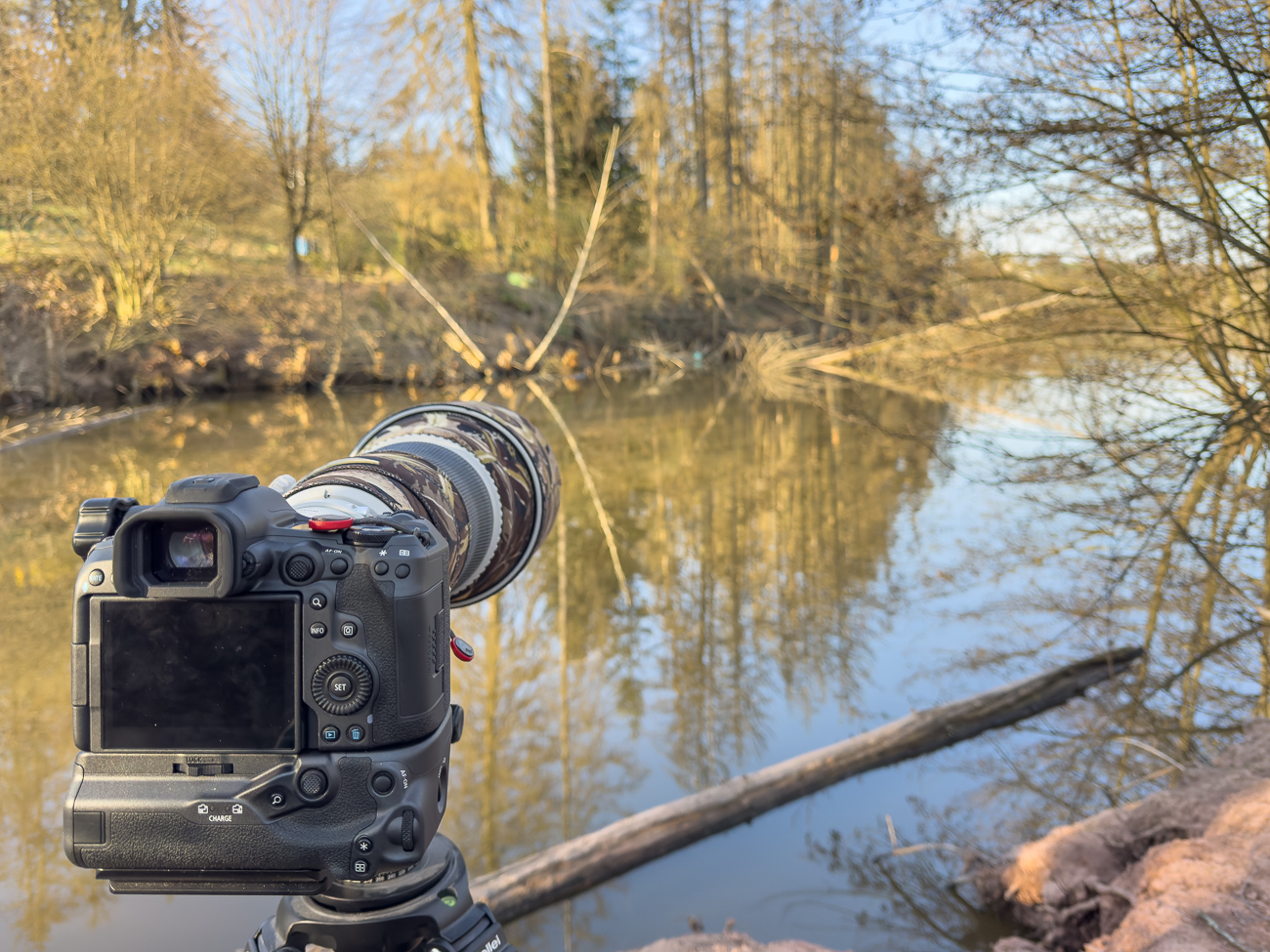 Dort hinten irgendwo müsste der Eisvogel auftauchen