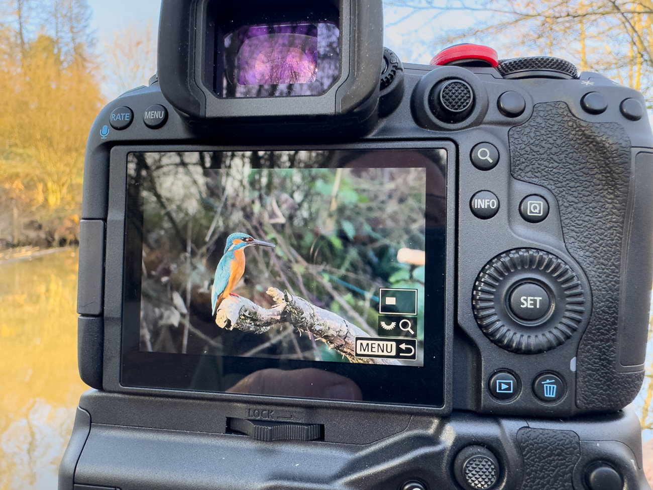 Dann taucht der Eisvogel endlich auf ;-)