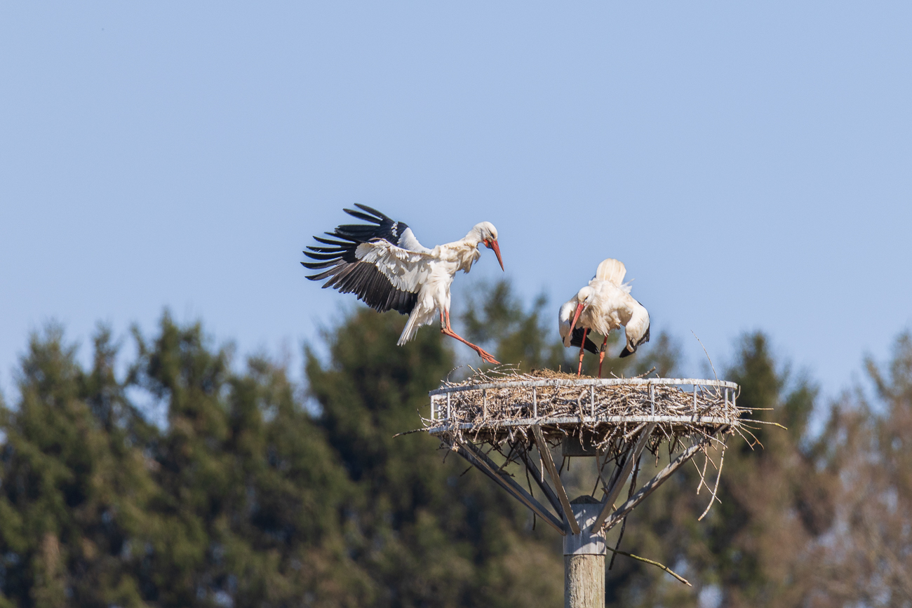 Kurz vor der Landung
