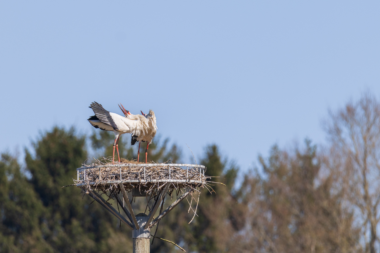 Freudige Begrüßung