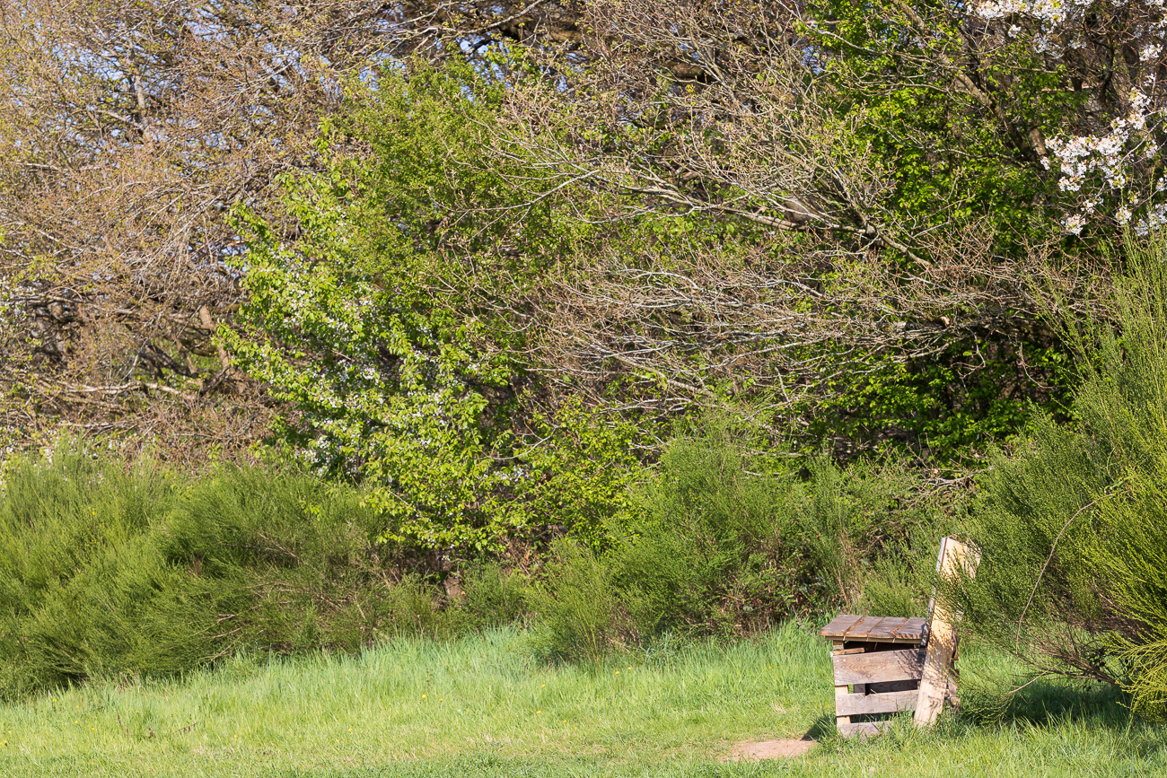 Einfache Bank am Waldrand