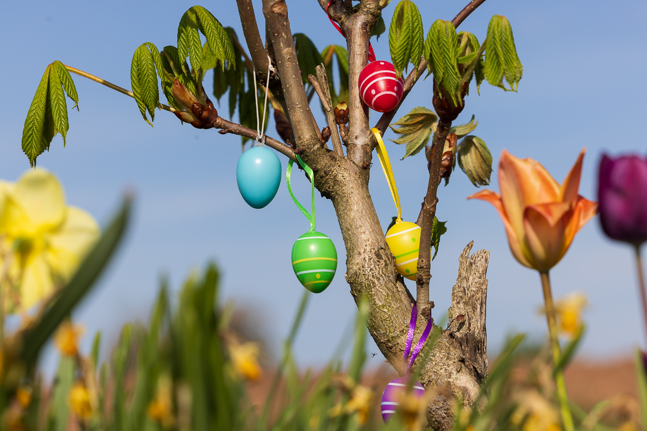 ... Osterschmuck verschönt