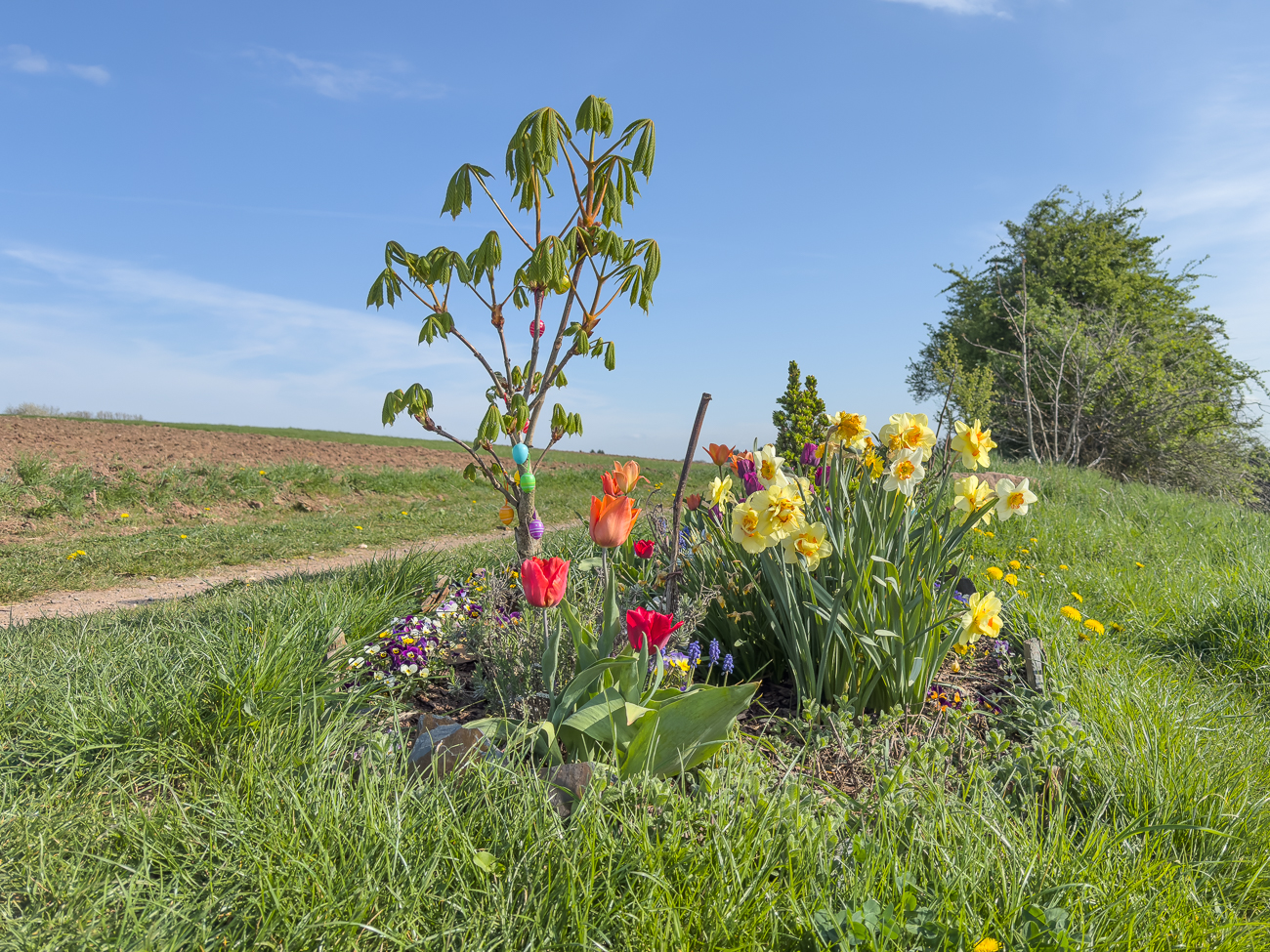 ... mit einem Blumenbeet und ...