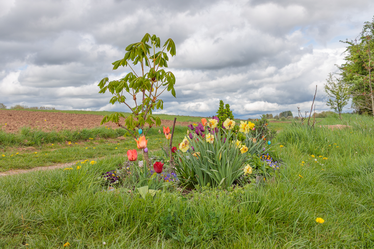 An Bärbel's Rastbank