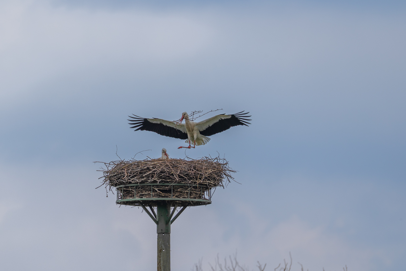 ... kurz vor der Landung ...