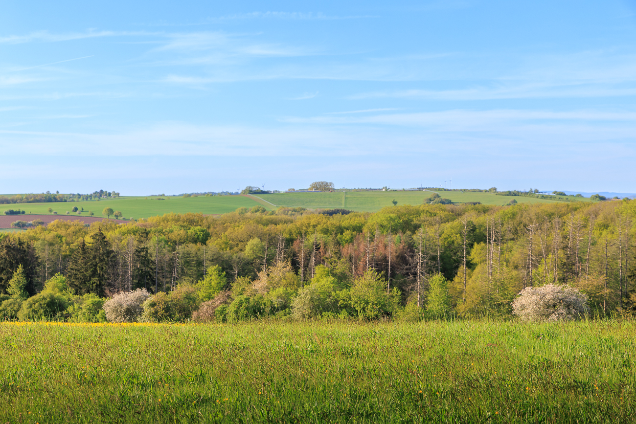 Frühlingslandschaft
