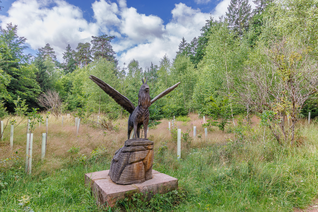 Die Hasseler Kuckucksgeiß [Capra haseliensis cucula]