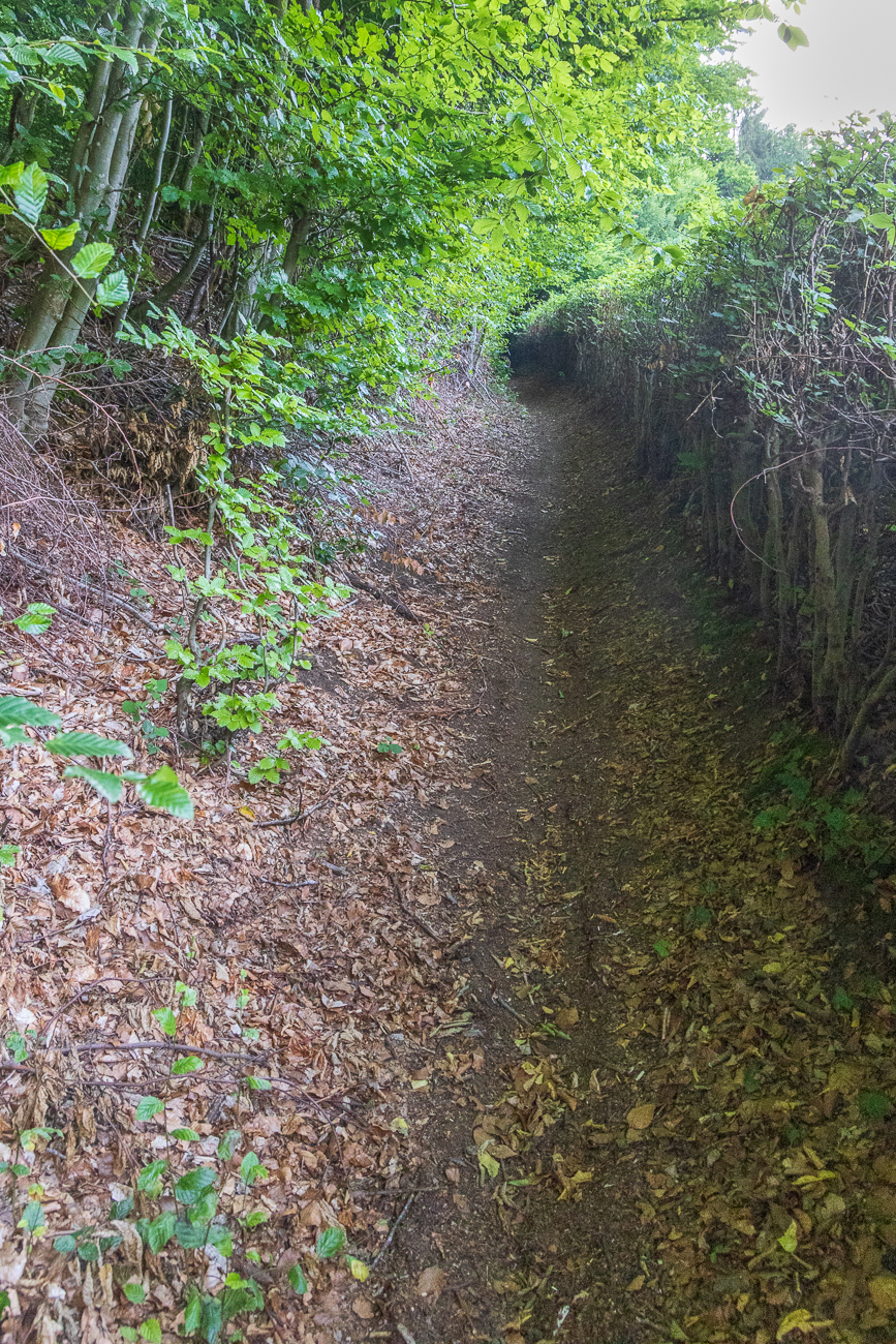 Durch diese Gasse muss der Hohle kommen (frei nach Wilhelm Tell) ;-)