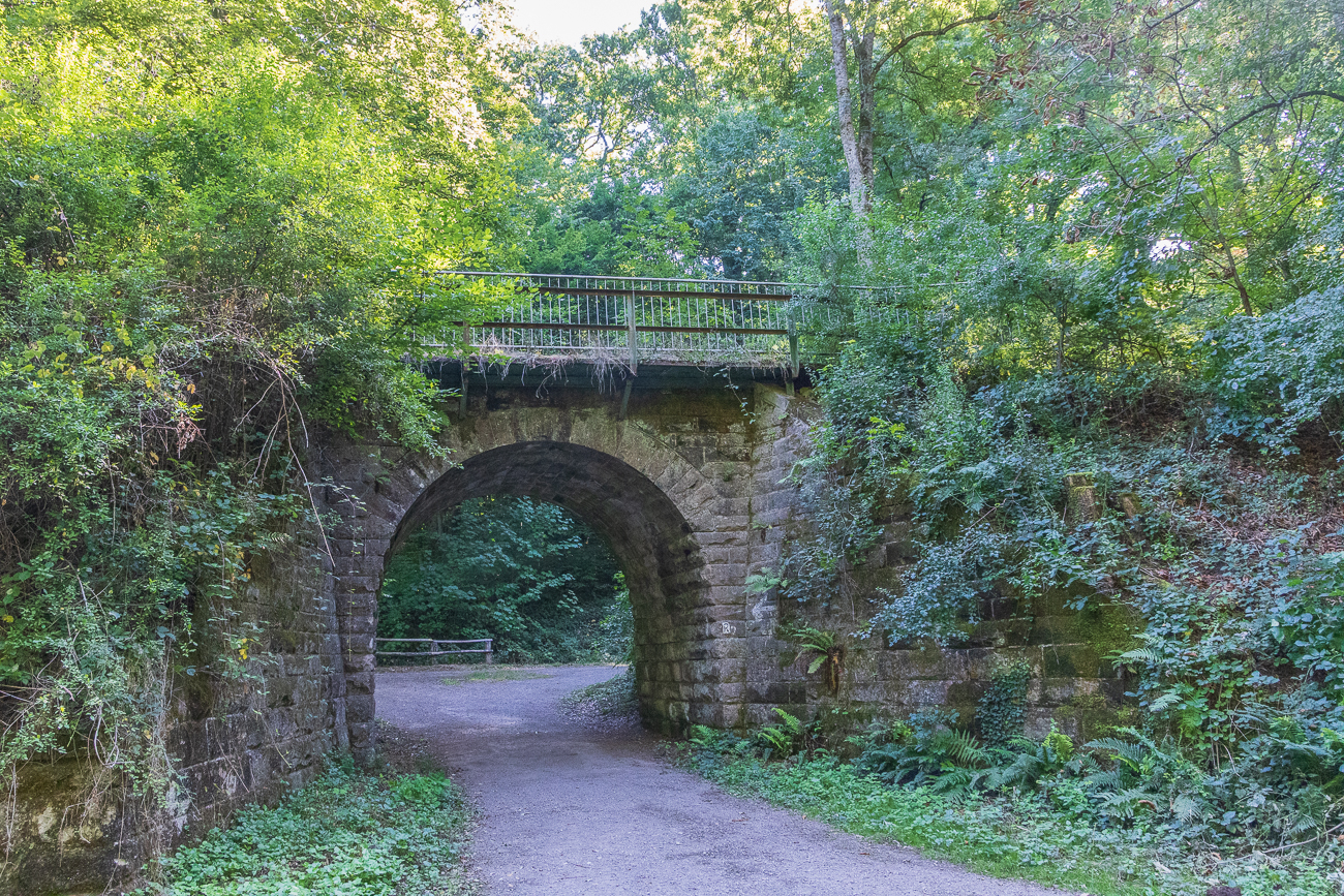 ... führt unter der Brücke hindurch