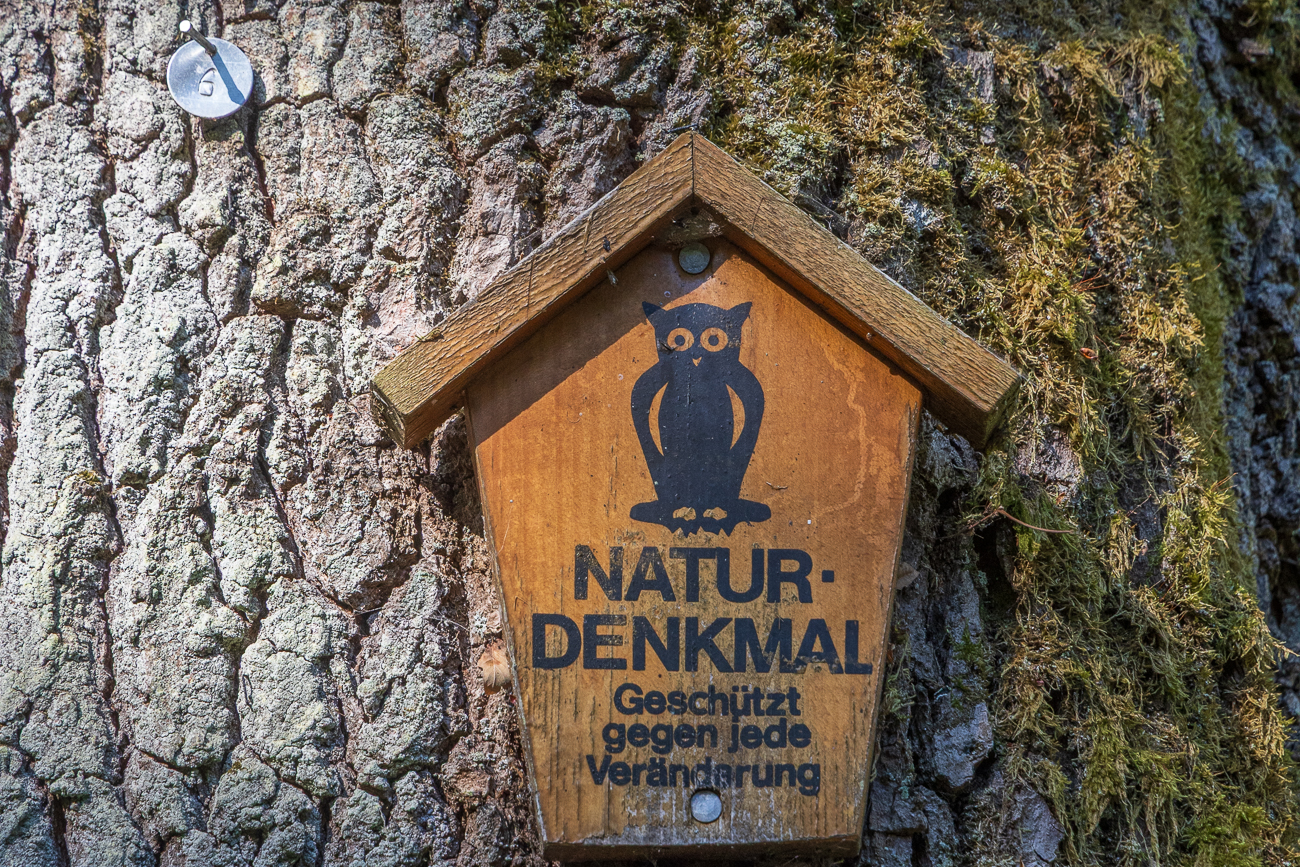 ... die als Naturdenkmal geschützt sind