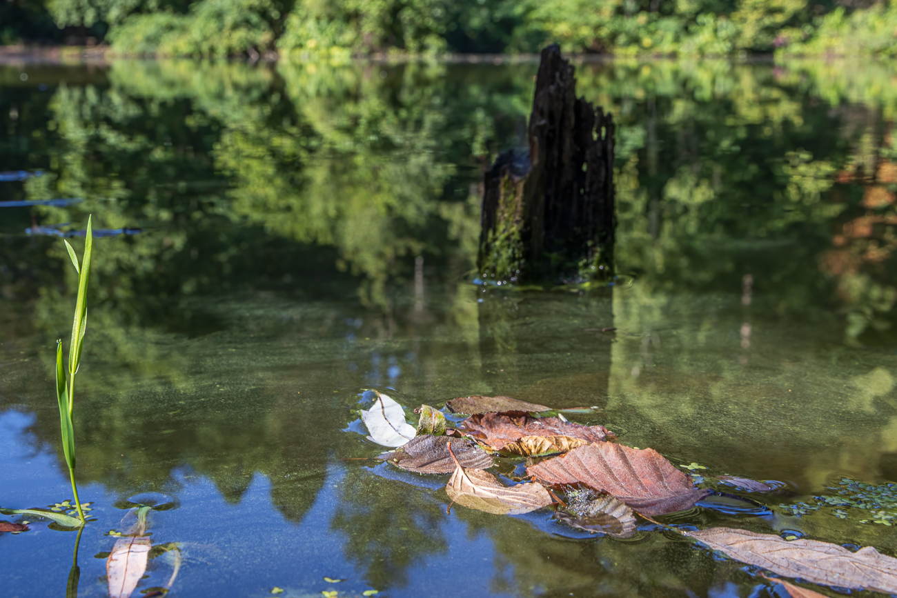 Der Herbst ist nicht mehr weit ...