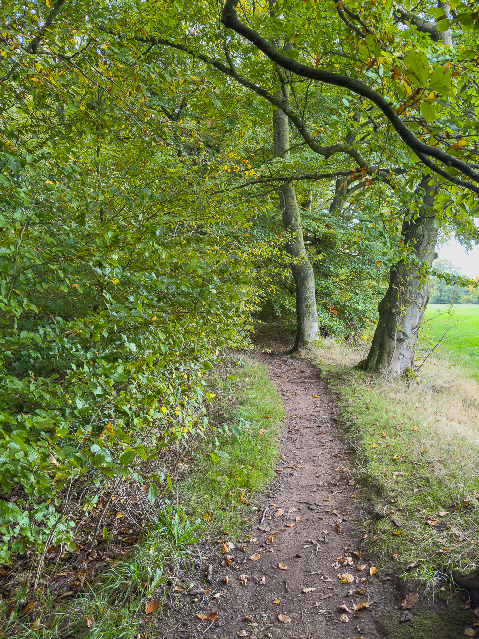 Es geht schmal weiter