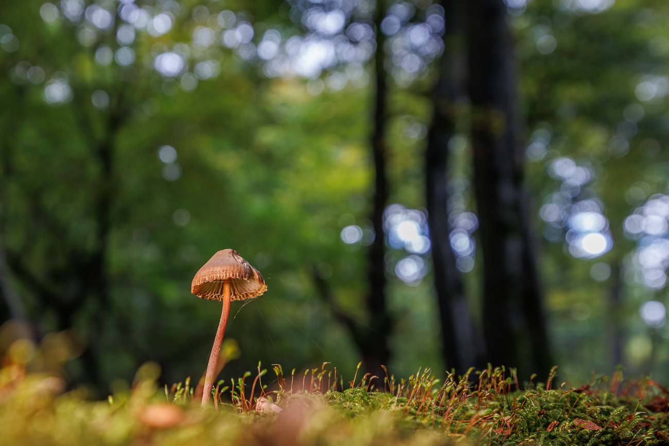 Heute habe ich etwas mit verschiedenen Belichtungen gespielt ...