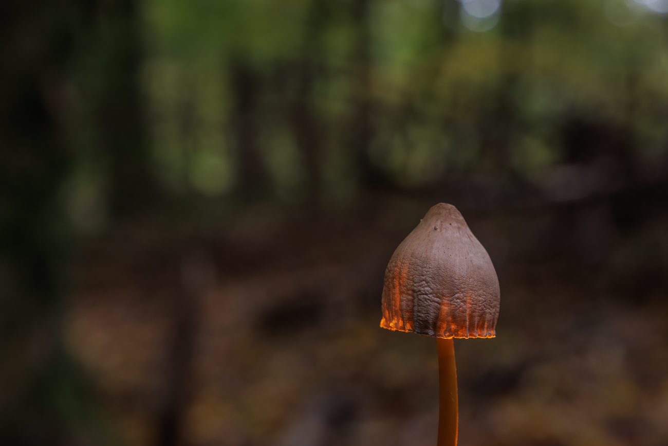 ... Lampe brennt ;-)