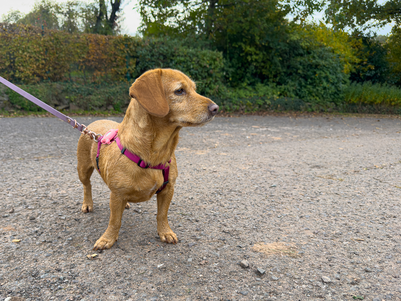 Was hat Frieda im Blick ...?