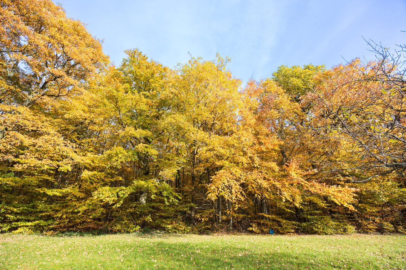 ... und auf der Sonnenseite