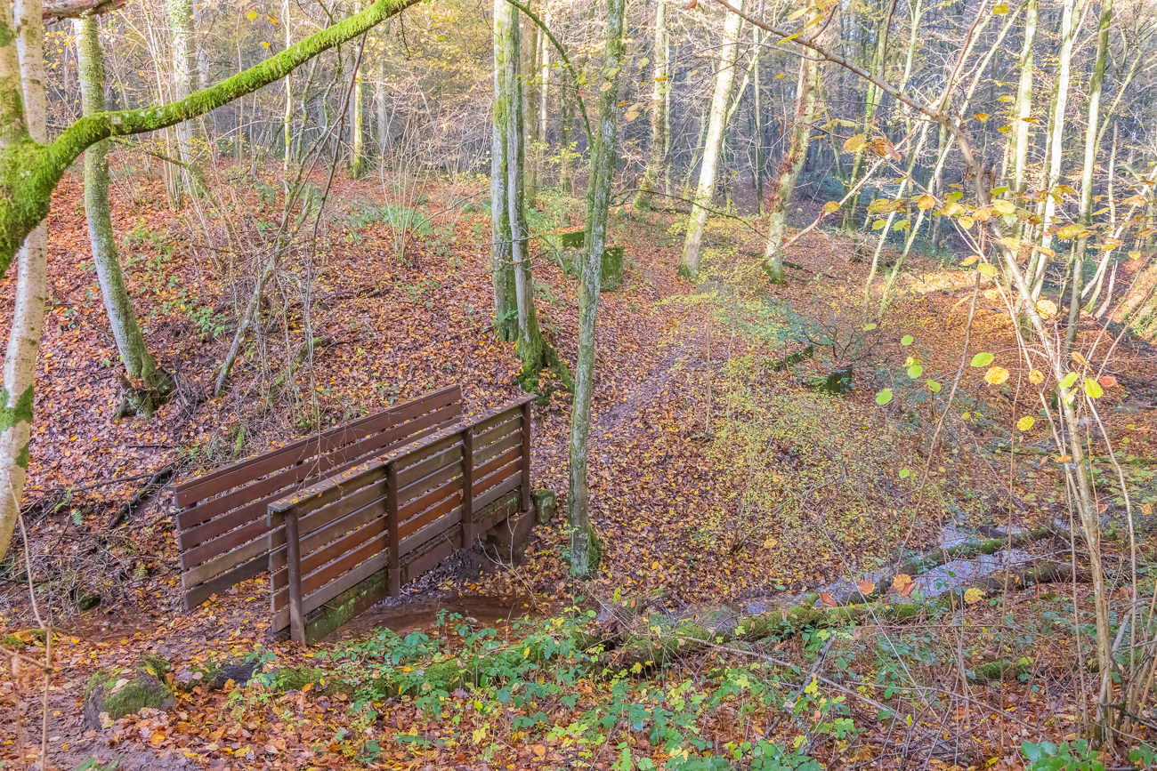 Brücke über den Bach