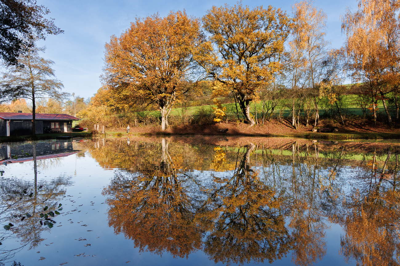 Spiegelung am Teich des Angelsportvereins Hirzweiler
