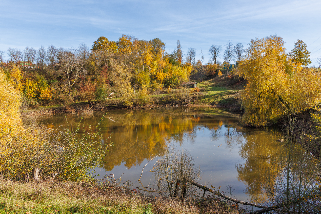 Biotop am Zeisweiler Hof