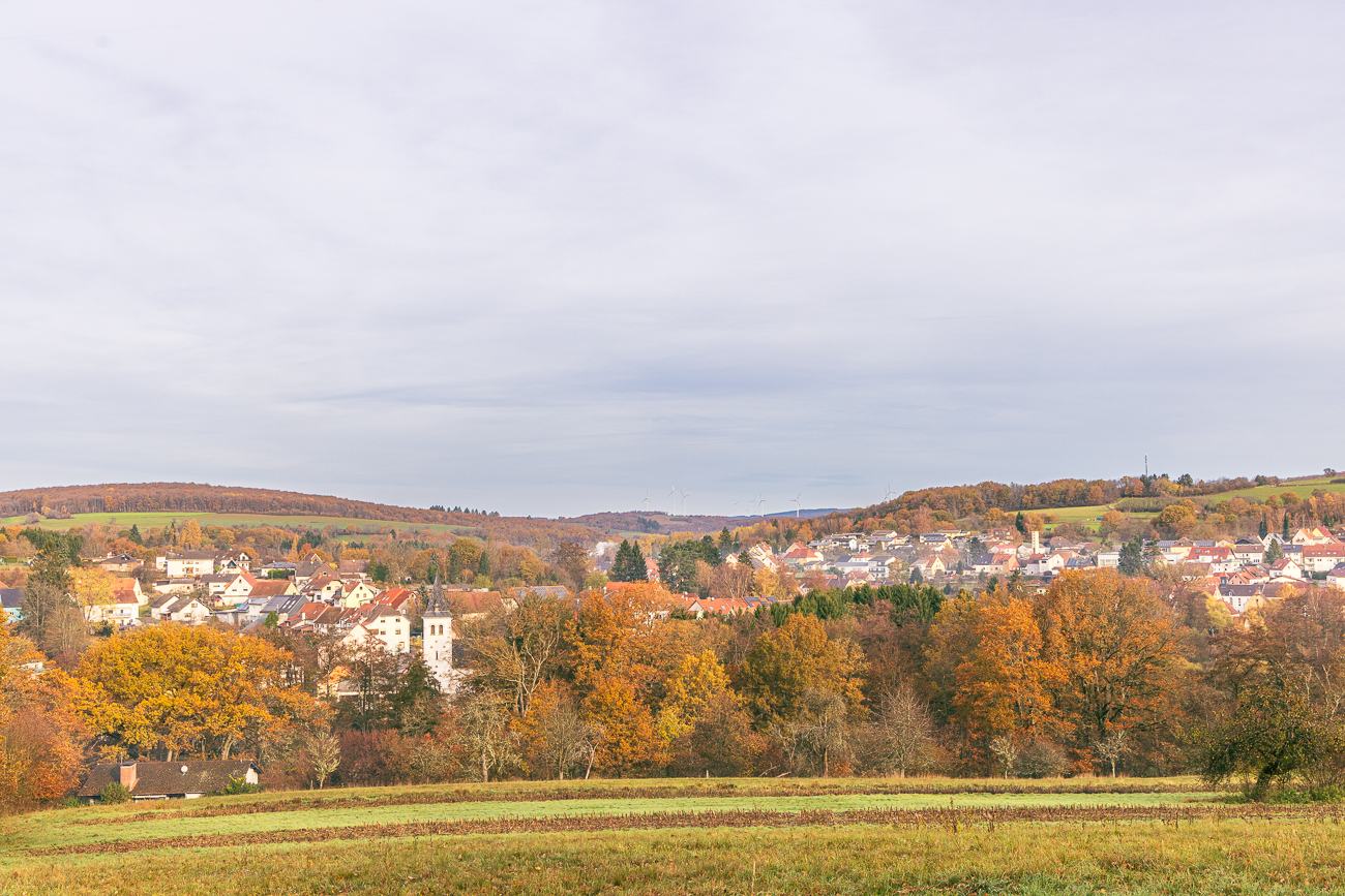 Blick auf Fürth