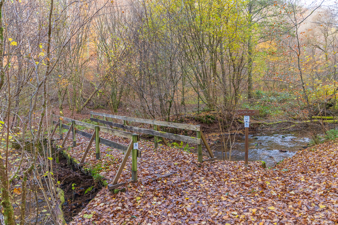 Brücke über den Schönbach