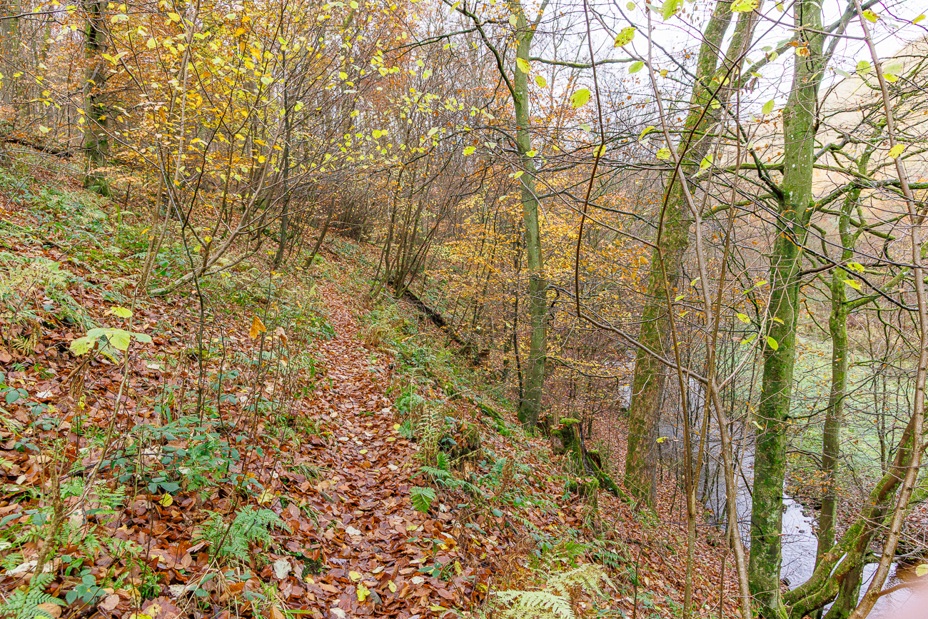 Schmaler Pfad mit Abrutschgefahr!