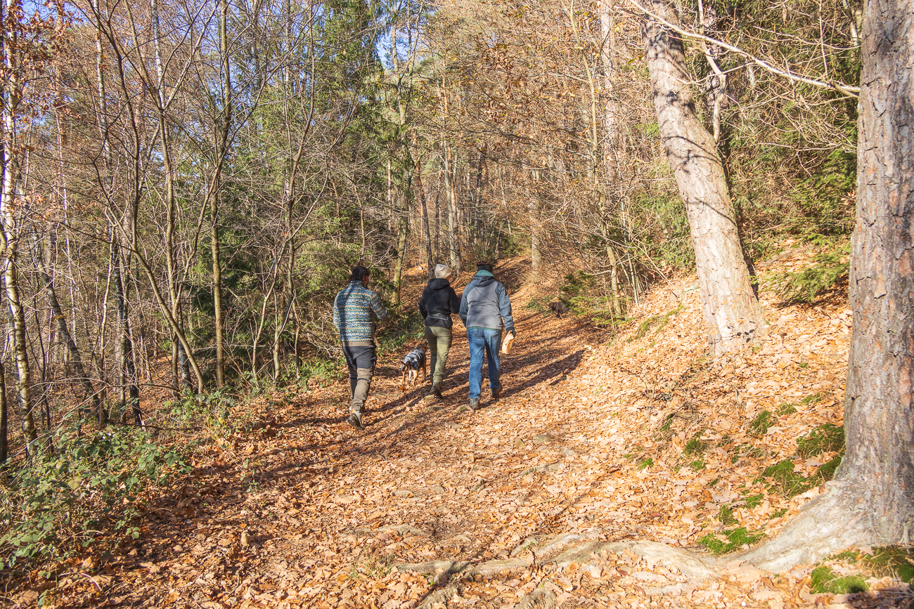Tolles Wetter für eine Wanderung