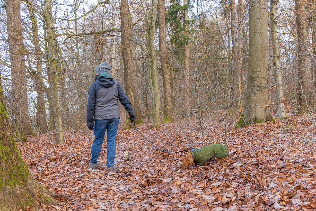 Frieda sucht Mauselöcher