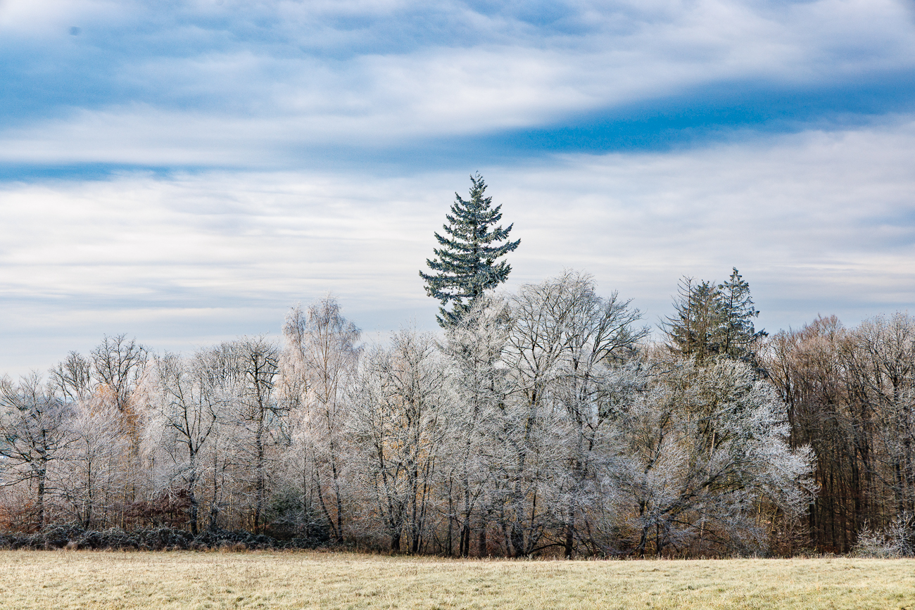 Winterliche Landschaft ohne Schnee