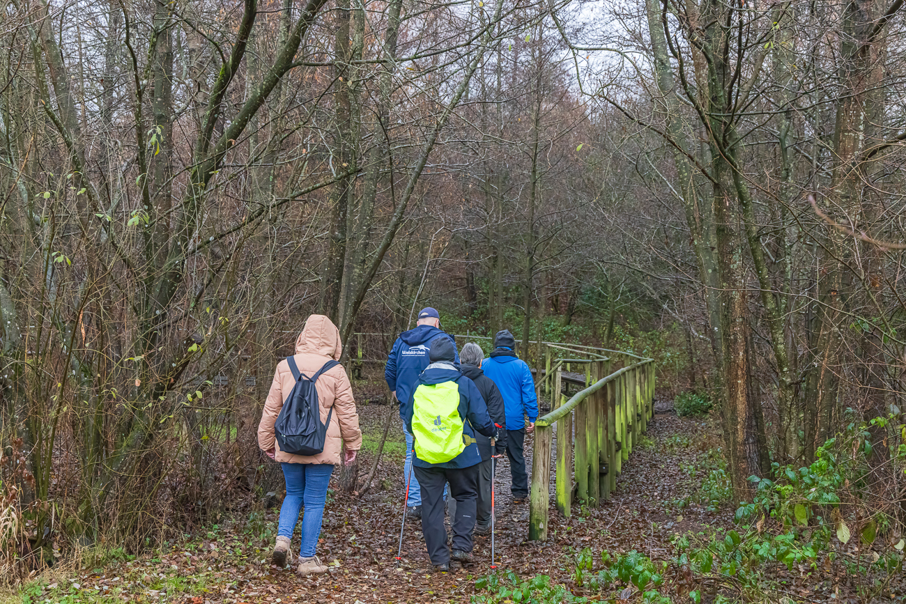 Nun geht es auf den Holzweg
