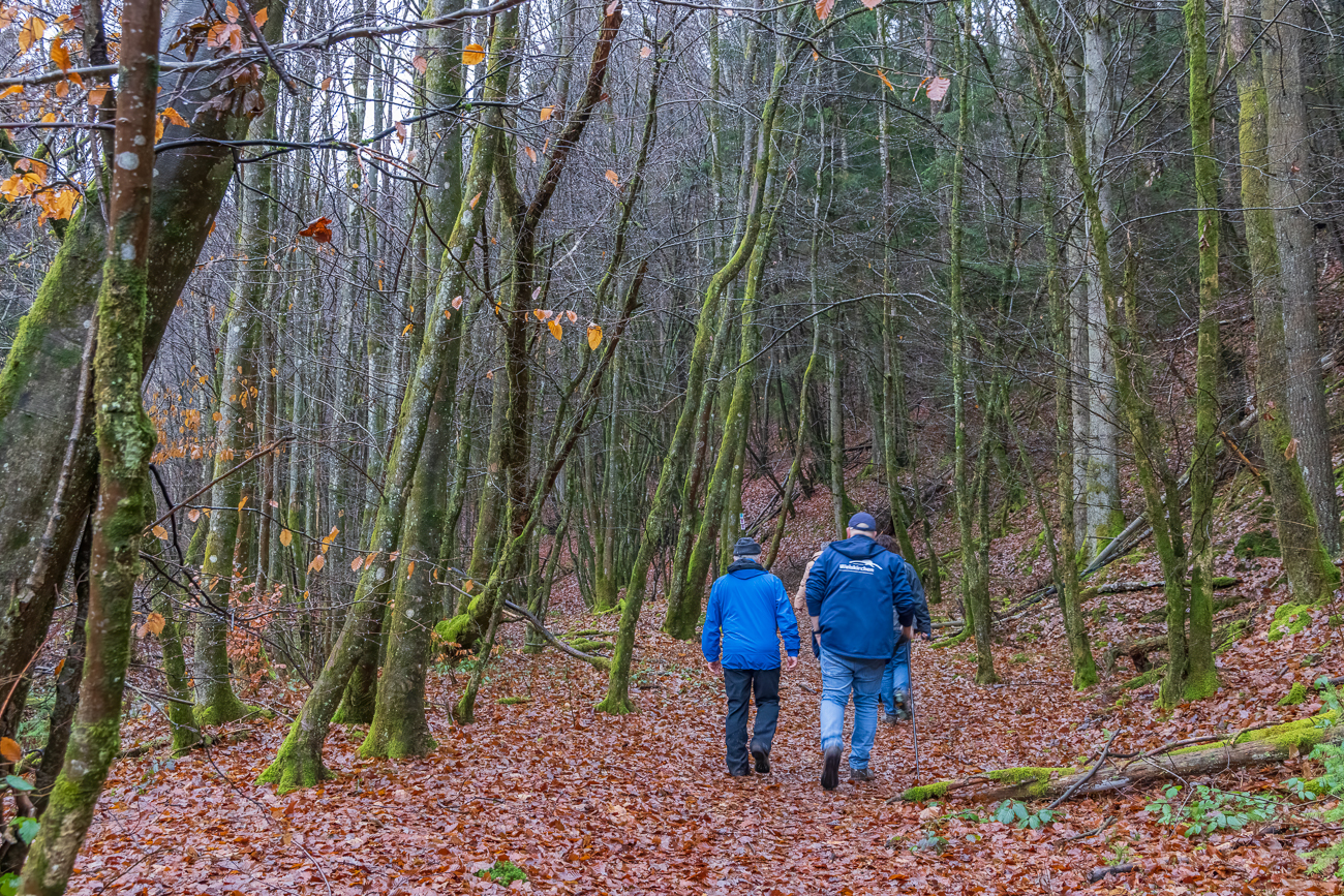 Nasses Laub macht den Weg etwas rutschig