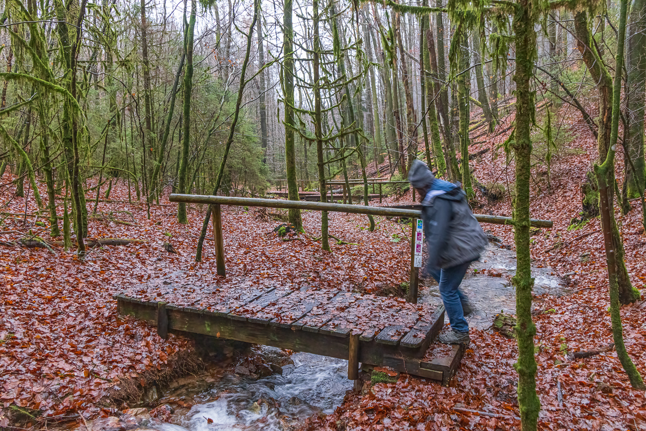 Sechs der sieben Br&uuml;cken &uuml;ber den Holzbach