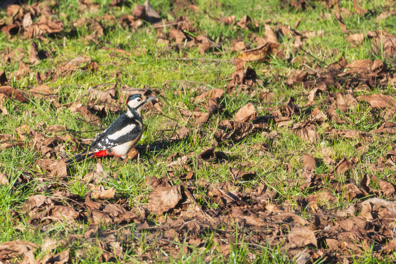Da muss ich doch mal hin fliegen