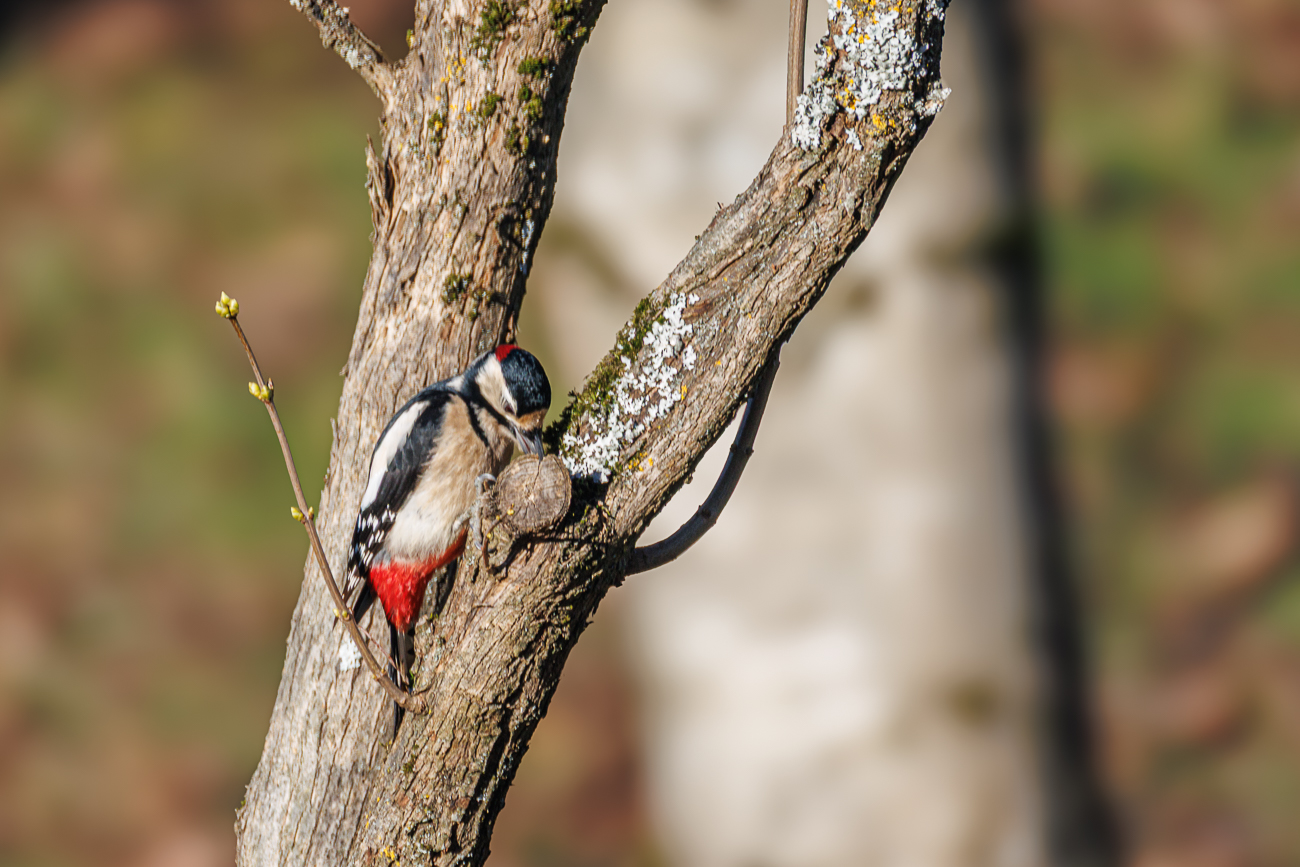 In der Ritze muss doch etwas zu finden sein