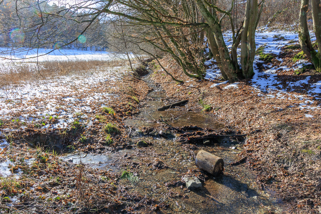 Einige Wanderungen die wir 2026 in Hessen unternommen haben