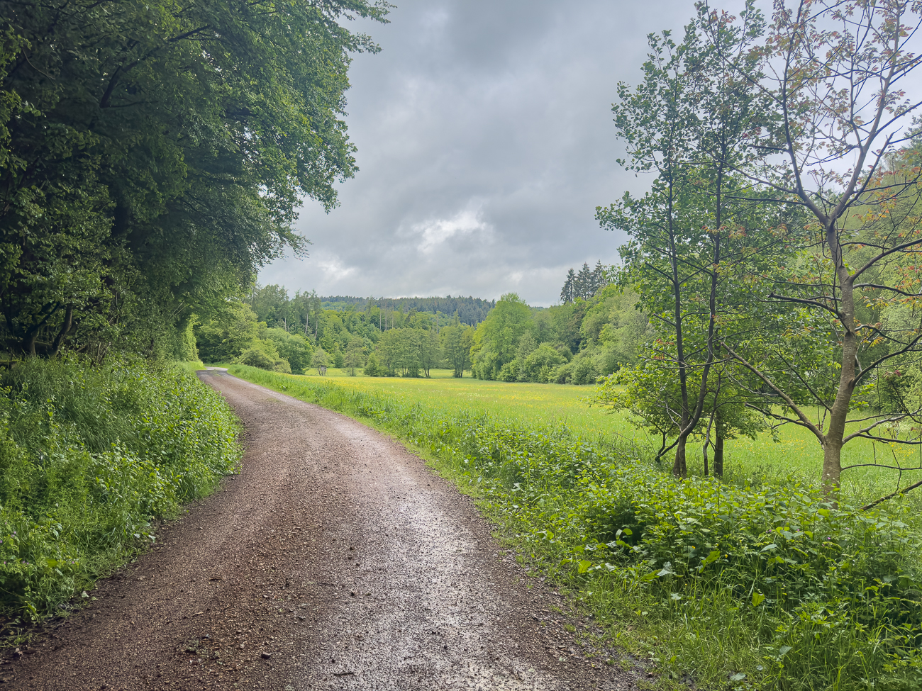Ist das Wetter noch so nass ...