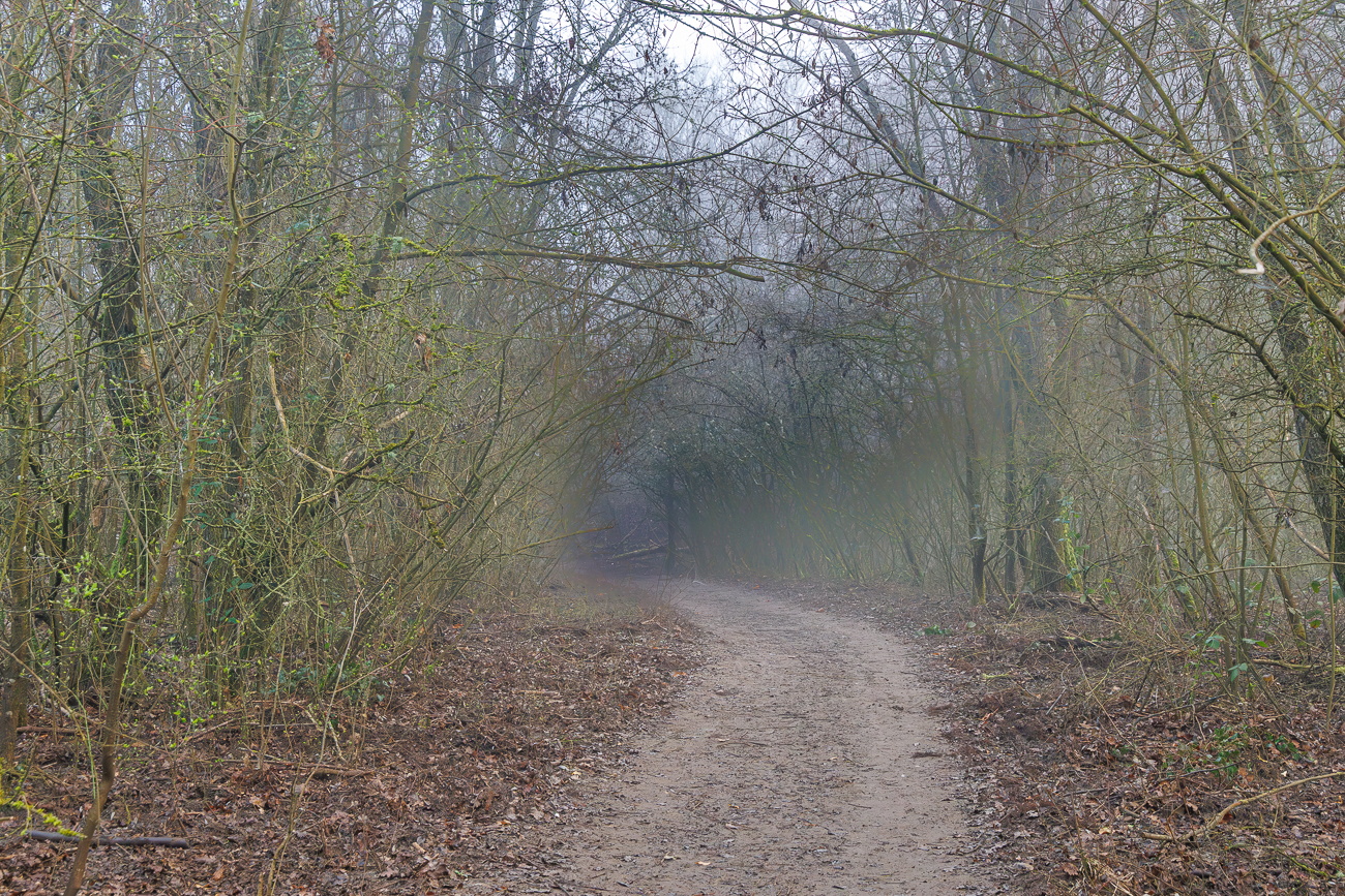 Weg durch den Nebel