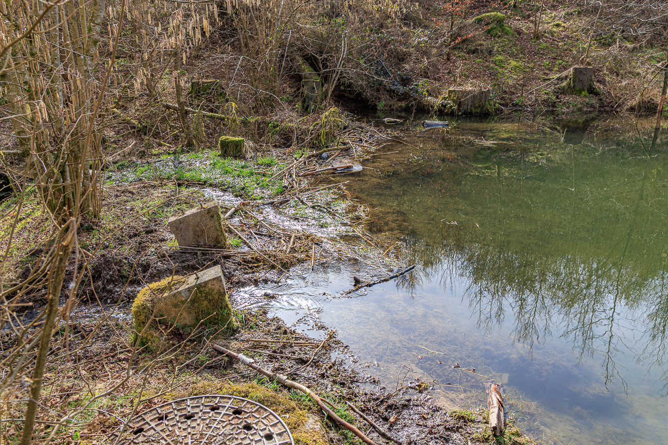... und der &Uuml;berlauf des Teiches den Wanderweg &uuml;berschwemmt hat
