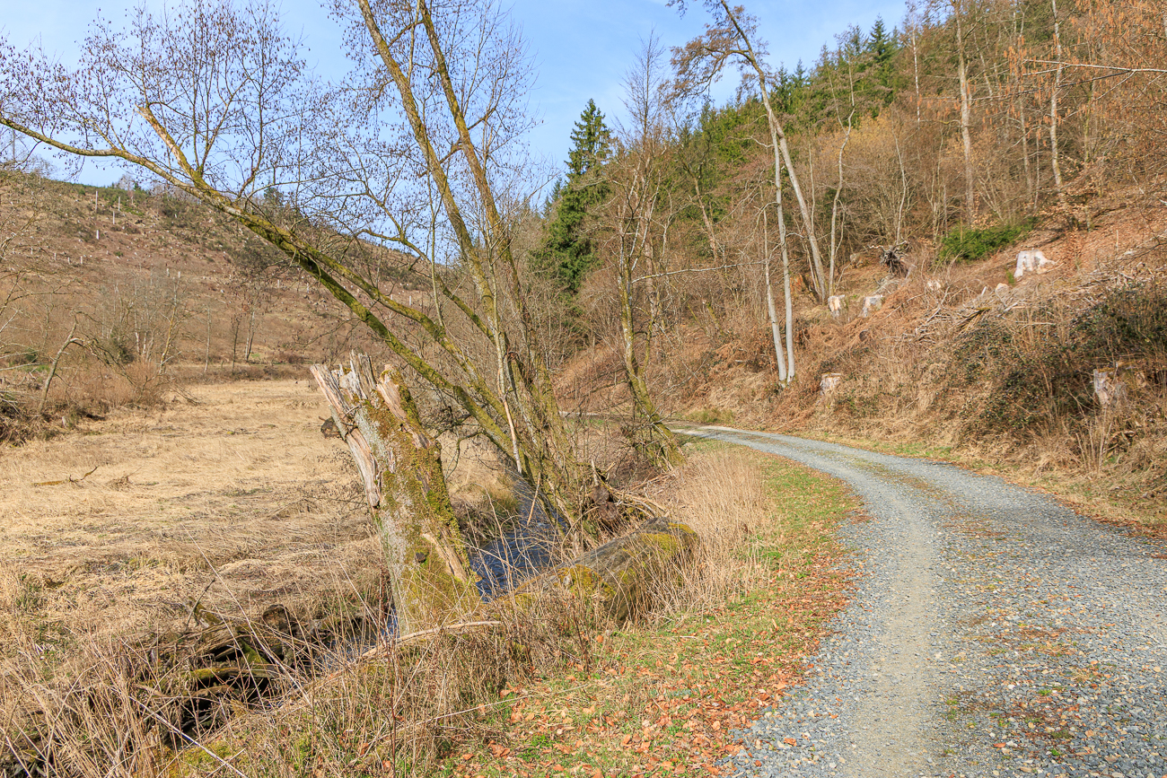 Der Weg verl&auml;uft parallel zur Wadrill