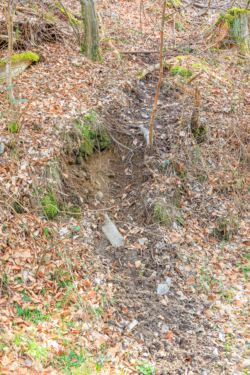 Biberrutsche zum Wanderweg hinab ...