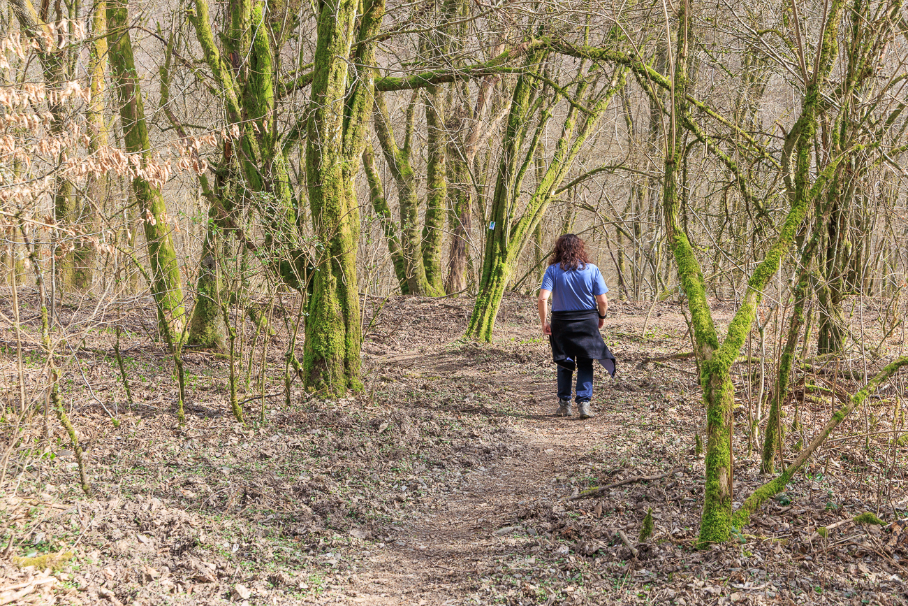Pfad durch den Wald zum Parkplatz hinab