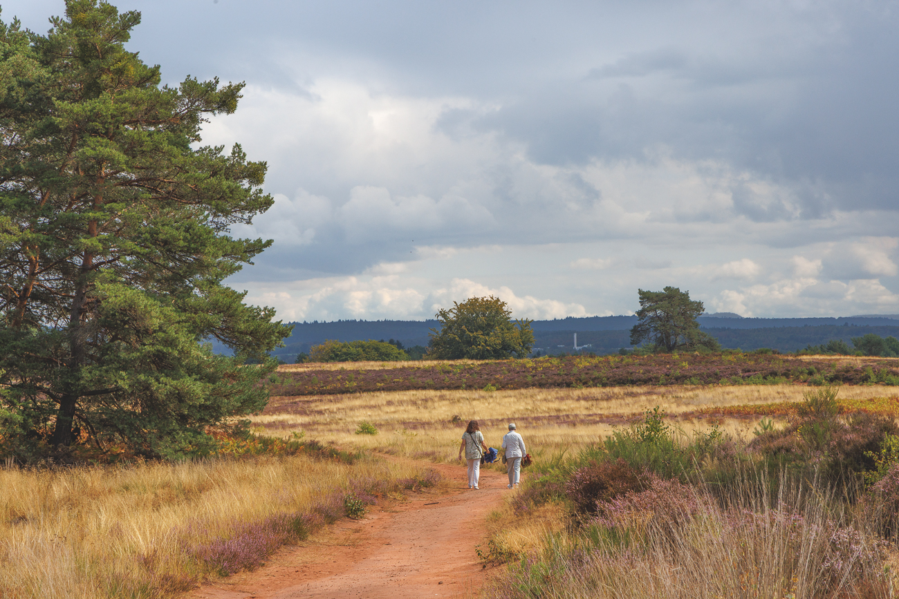 Wanderstrecken